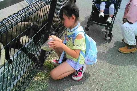 動物観察5