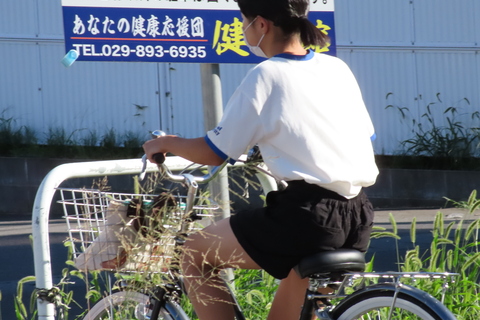 登下校みまもり隊9