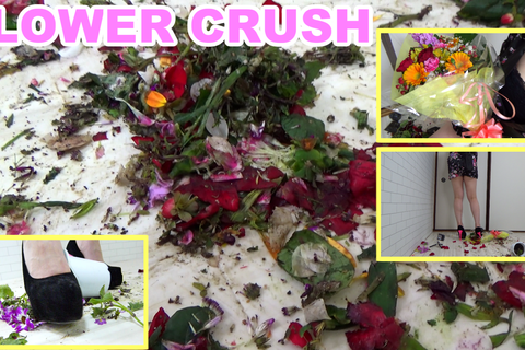FLOWER CRUSH