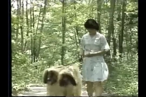 【清岡映像作品】少女と犬のワルツ